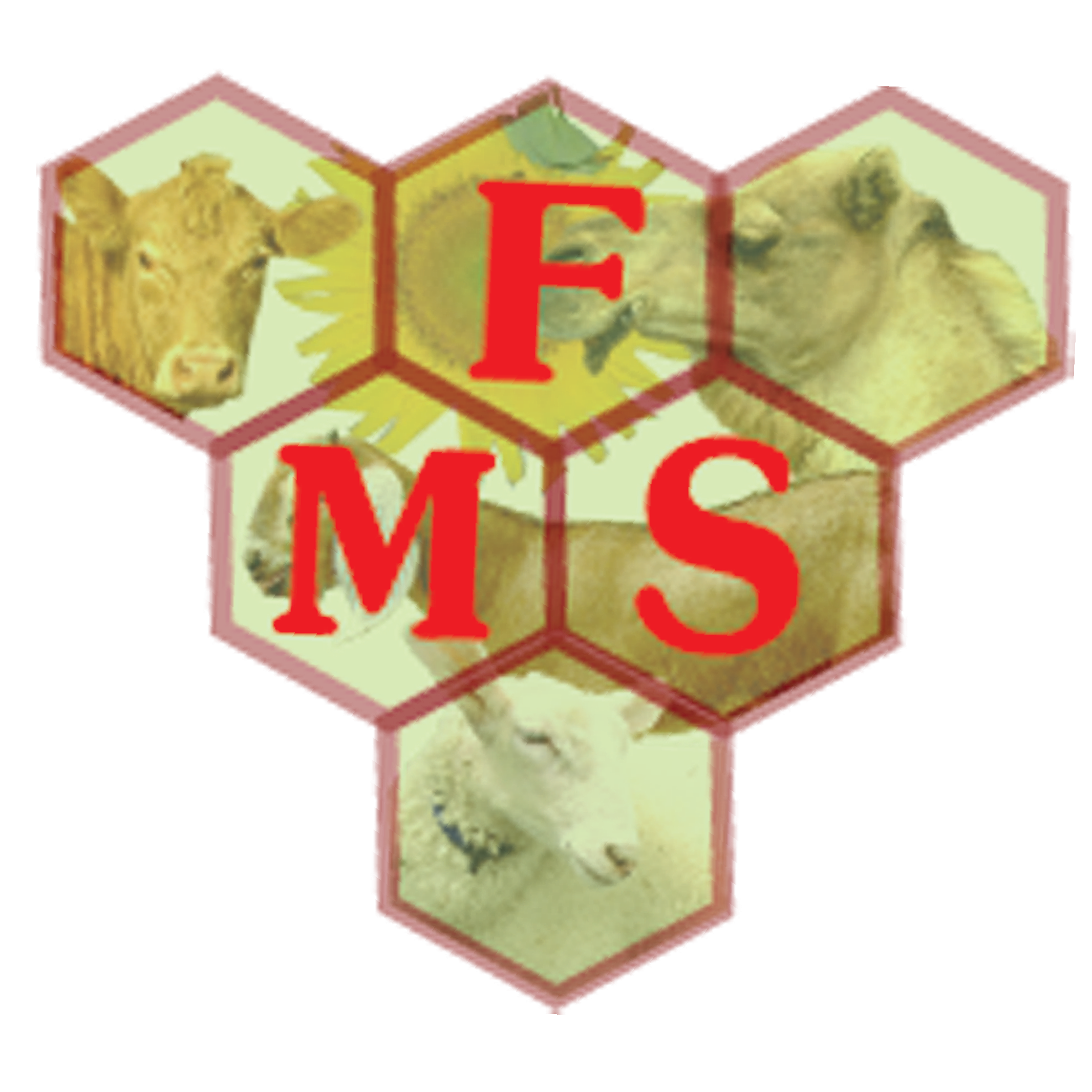 Farmview Media Services