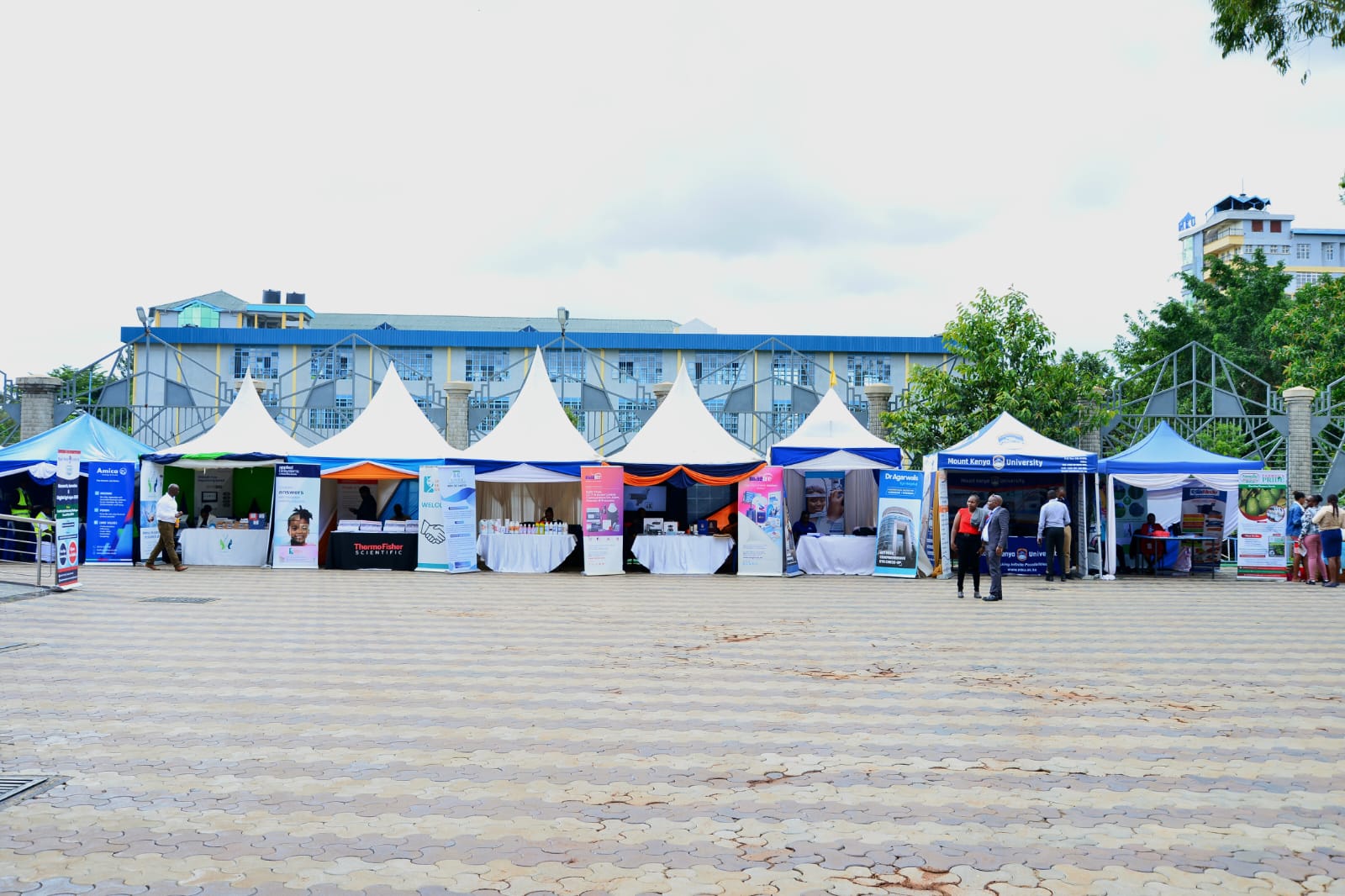 WhatsApp Image 2024-05-30 at 18.42.27